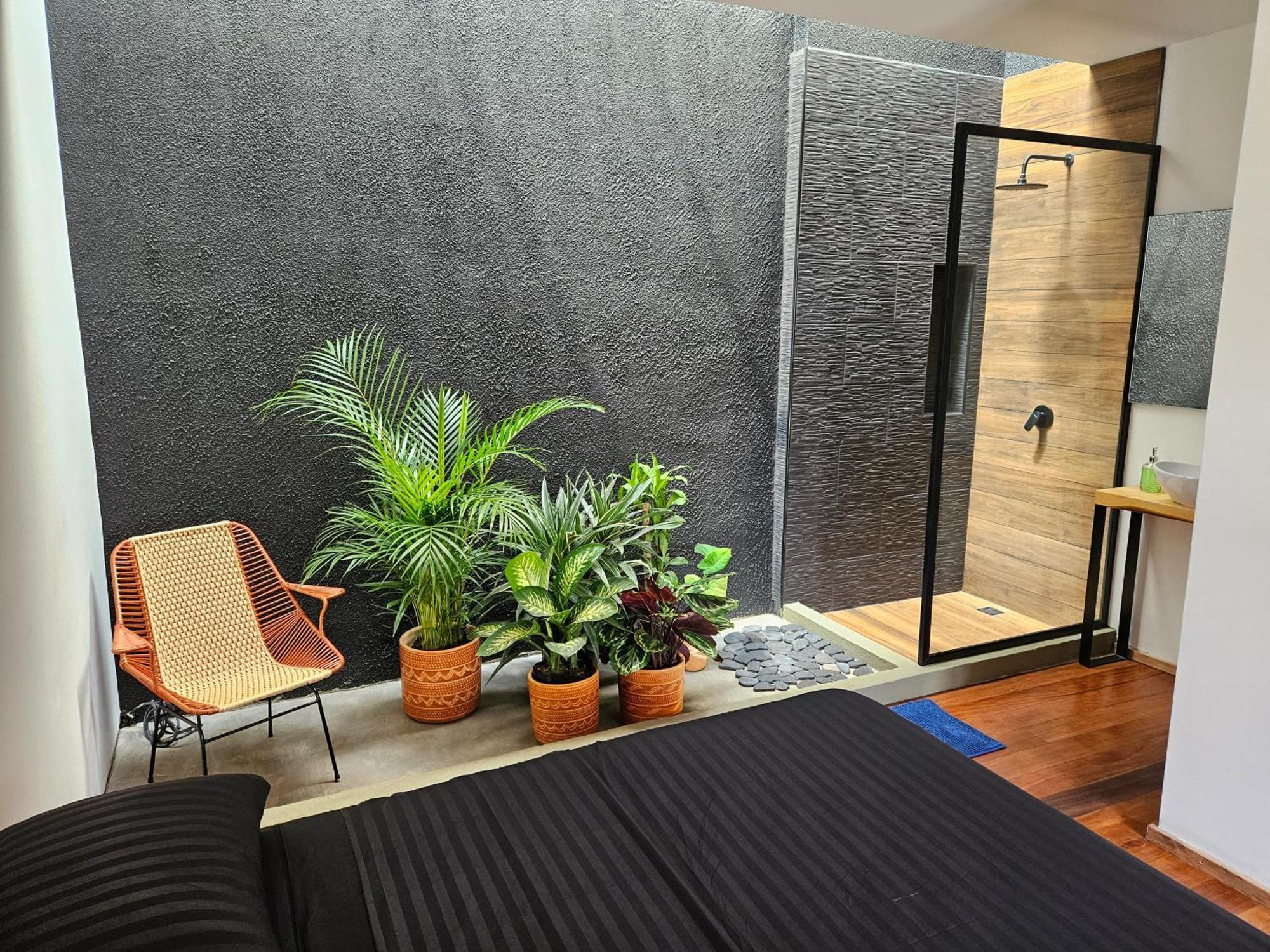 卡利 Casa Alba酒店 外观 照片