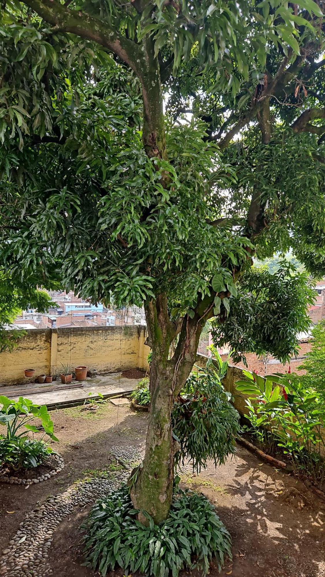 卡利 Casa Alba酒店 外观 照片